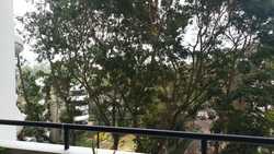 Regency Park (D10), Condominium #212571241